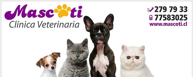 Mascotas Concepción