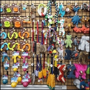 Accesorios para Mascotas en Concepción