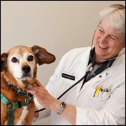 Veterinarios en Concepción